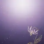 山瀬まこ